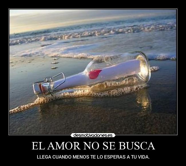 EL AMOR NO SE BUSCA - 