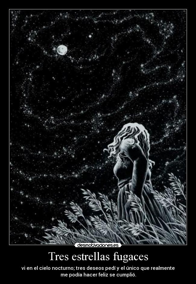 carteles espiritus halcon lobo siempre caminaran juntos desmotivaciones