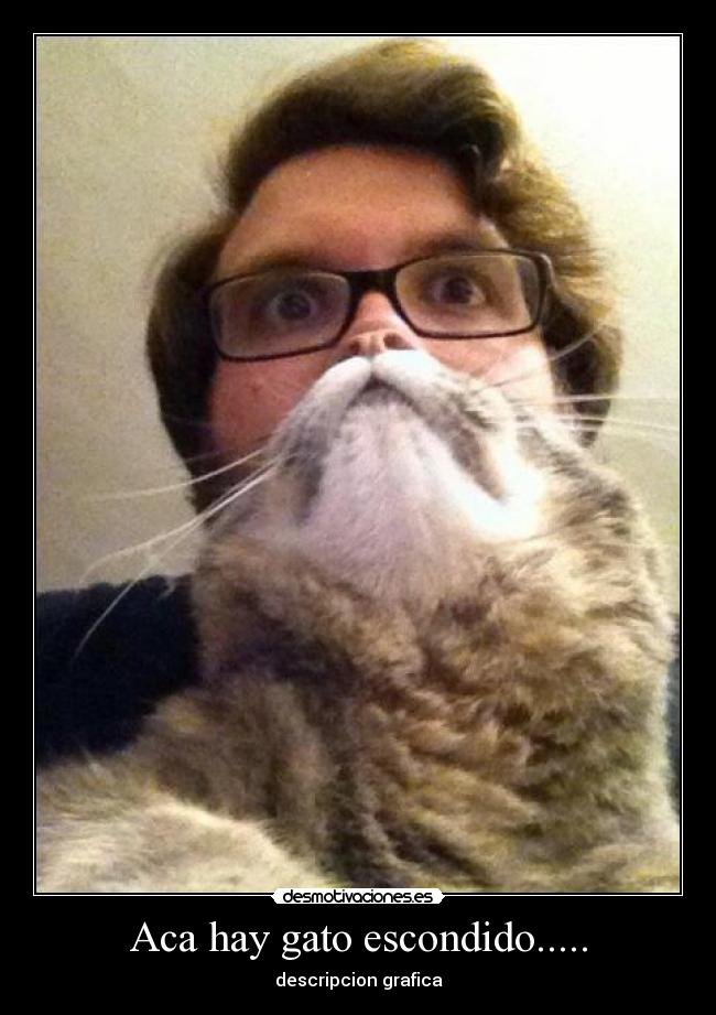 Aca hay gato escondido..... - descripcion grafica