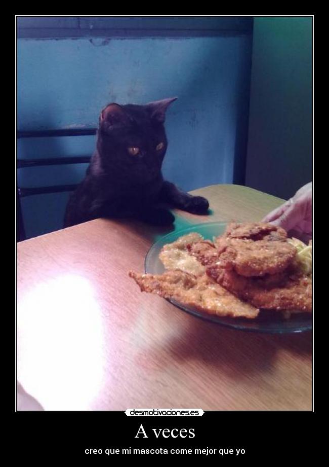 A veces - creo que mi mascota come mejor que yo