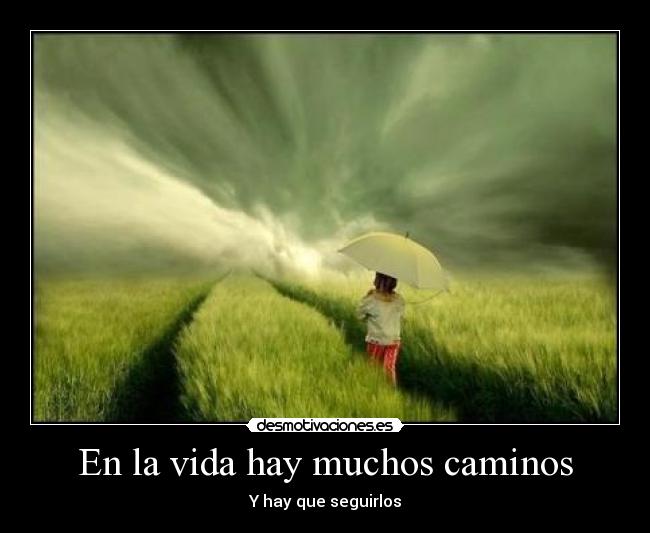 En la vida hay muchos caminos - 