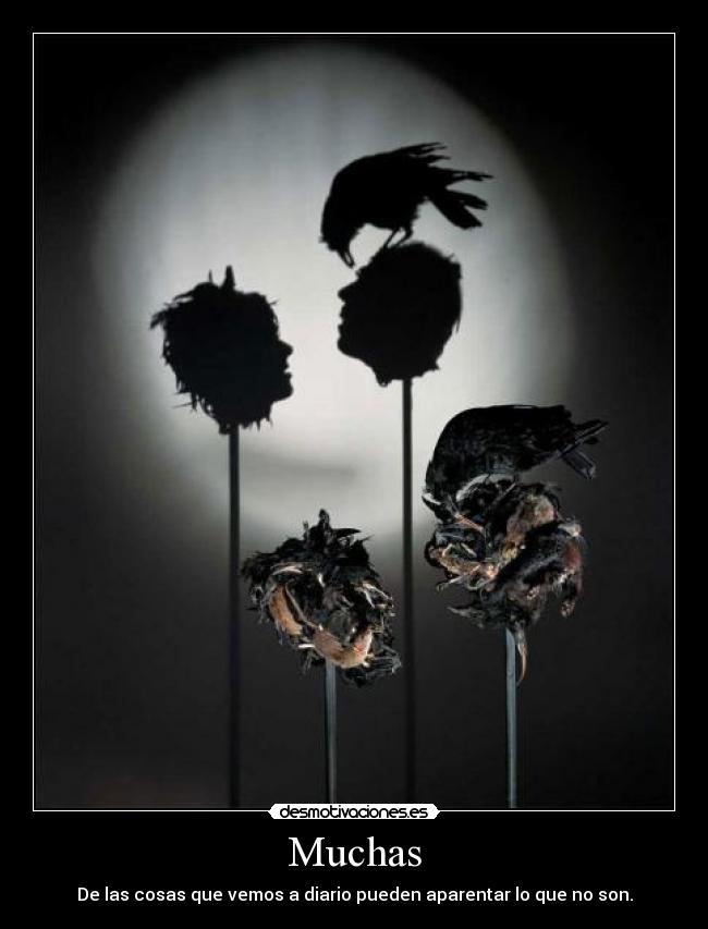 Muchas - De las cosas que vemos a diario pueden aparentar lo que no son.