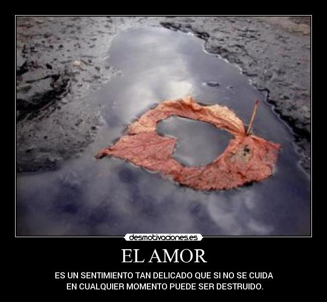 carteles amor amor sentimientos fragil amor puede ser destruido vida amor desmotivaciones amor parejas desmotivaciones