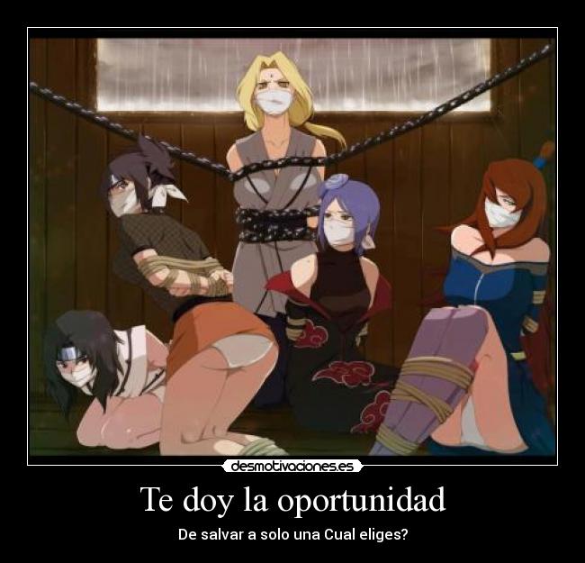 Te doy la oportunidad -