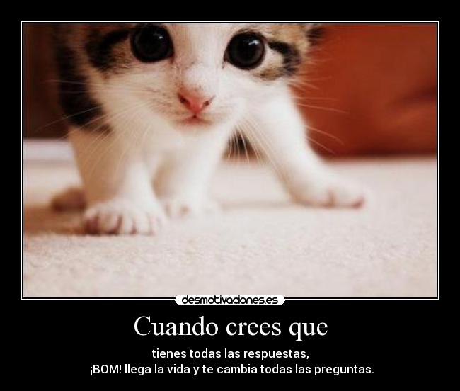 Cuando crees que - tienes todas las respuestas,
 ¡BOM! llega la vida y te cambia todas las preguntas.