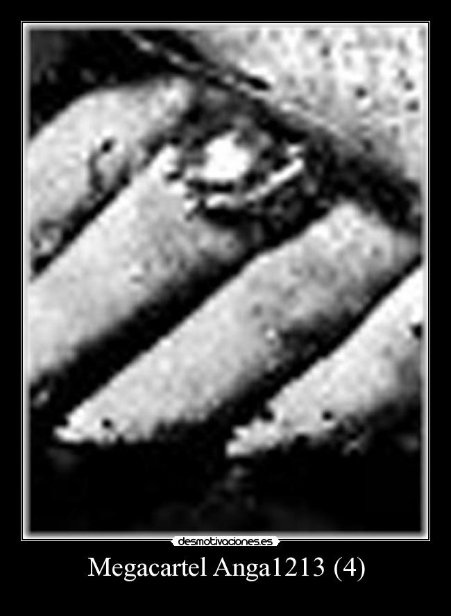 Megacartel Anga1213 (4) -
