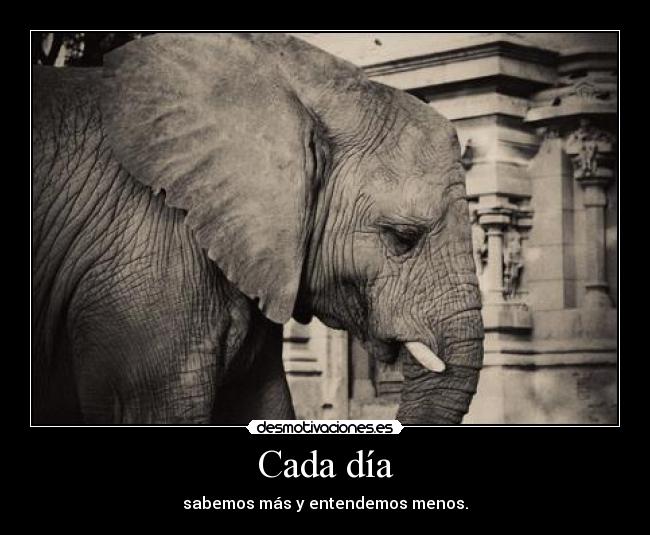 Cada día - sabemos más y entendemos menos.