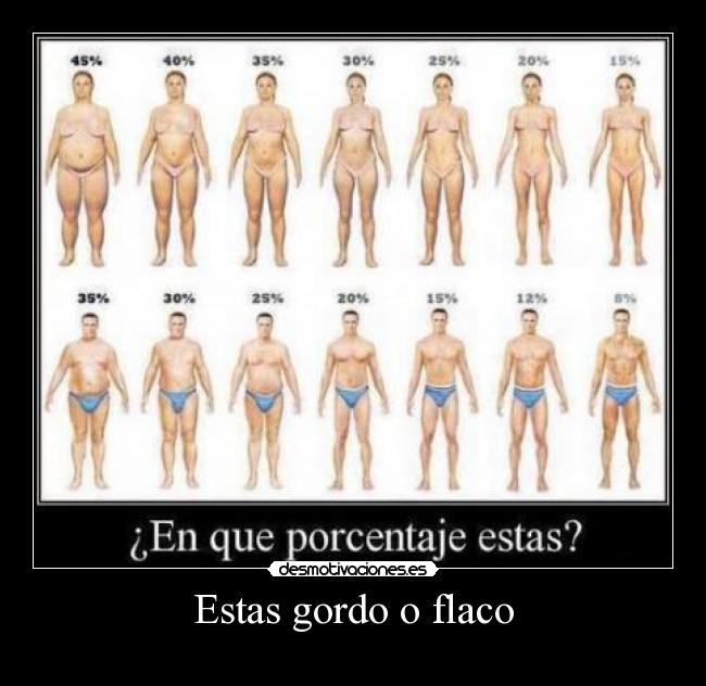 carteles f67i desmotivaciones