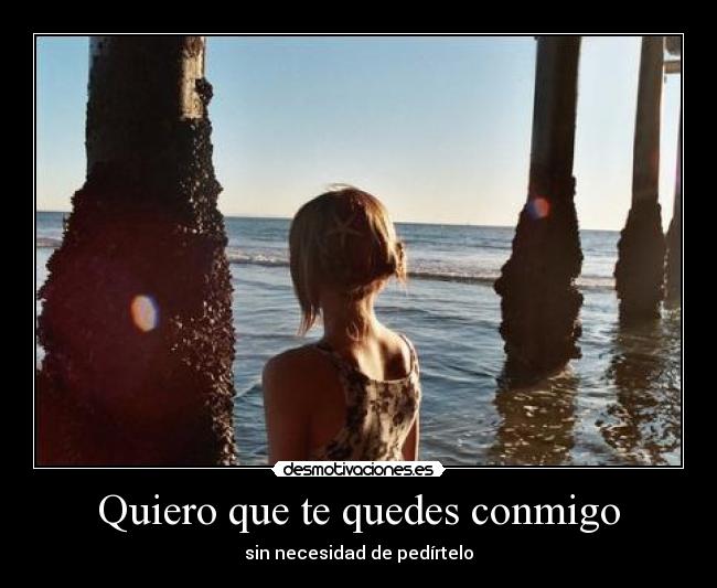 carteles desamor desmotivaciones