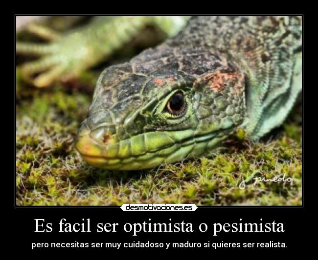 Es facil ser optimista o pesimista - 