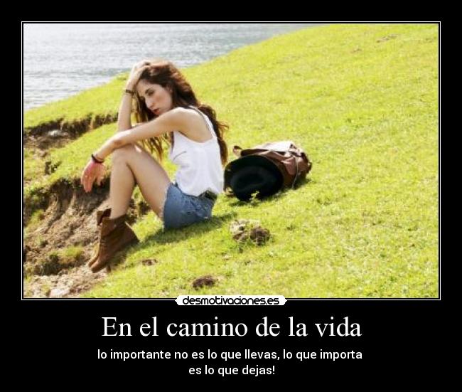 En el camino de la vida - 