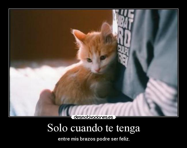 Solo cuando te tenga -