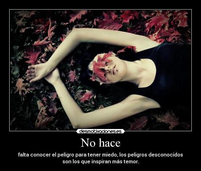 carteles amm alejandro dumas noirfeu desmotivaciones