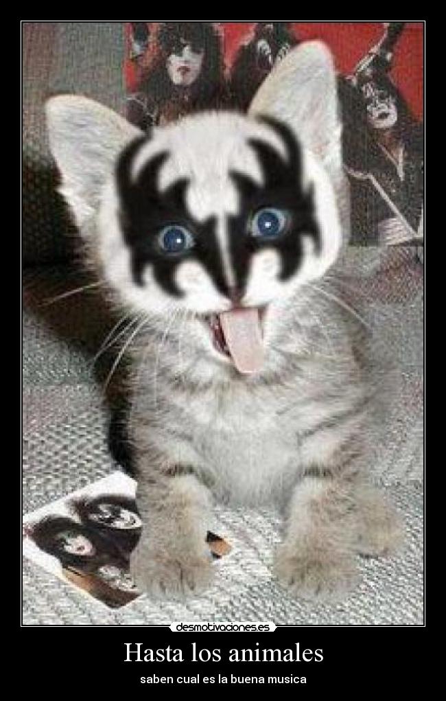 Hasta los animales -