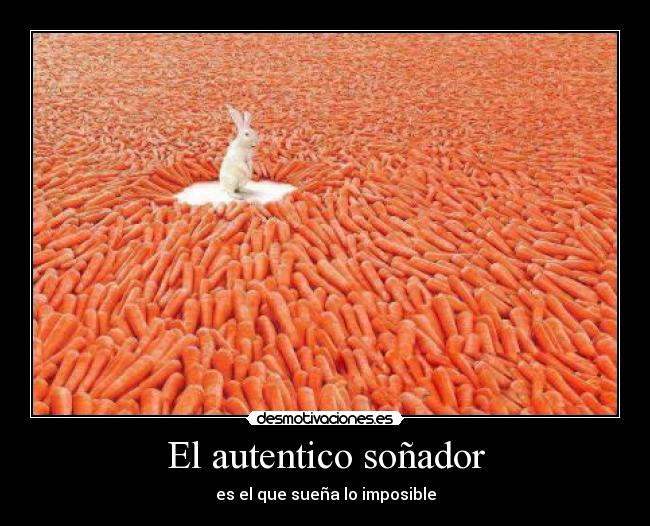 El autentico soñador - es el que sueña lo imposible
