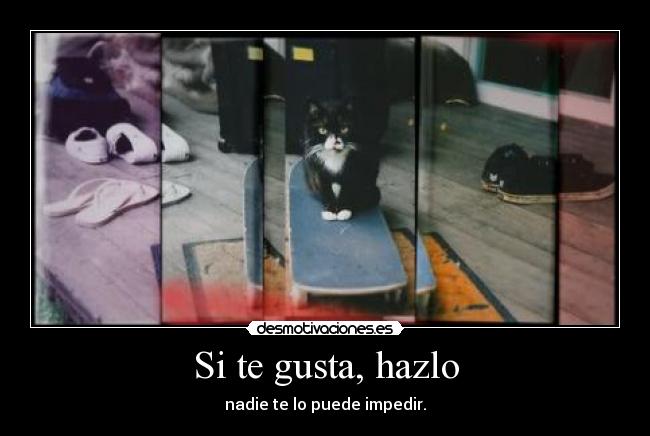 Si te gusta, hazlo - 