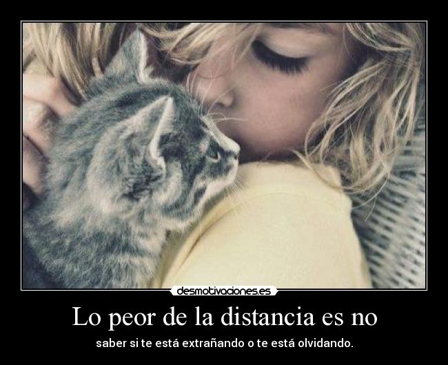 Lo peor de la distancia es no - saber si te está extrañando o te está olvidando.