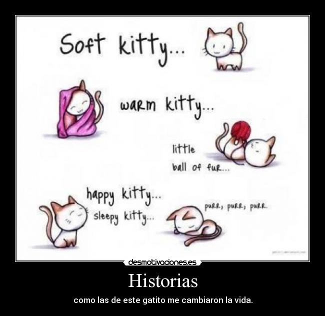 Historias - como las de este gatito me cambiaron la vida.