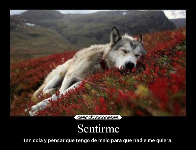 Sentirme -