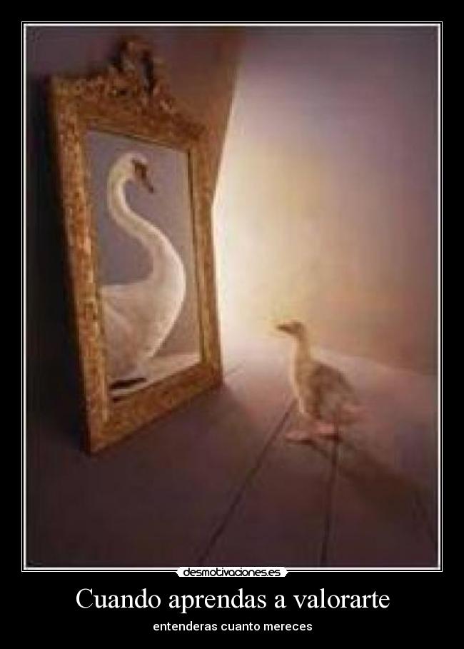 Cuando aprendas a valorarte - entenderas cuanto mereces