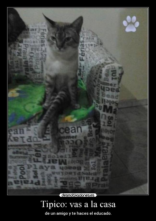 Tipico: vas a la casa -