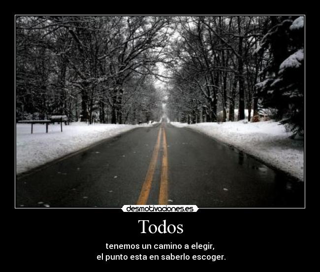 Todos - 