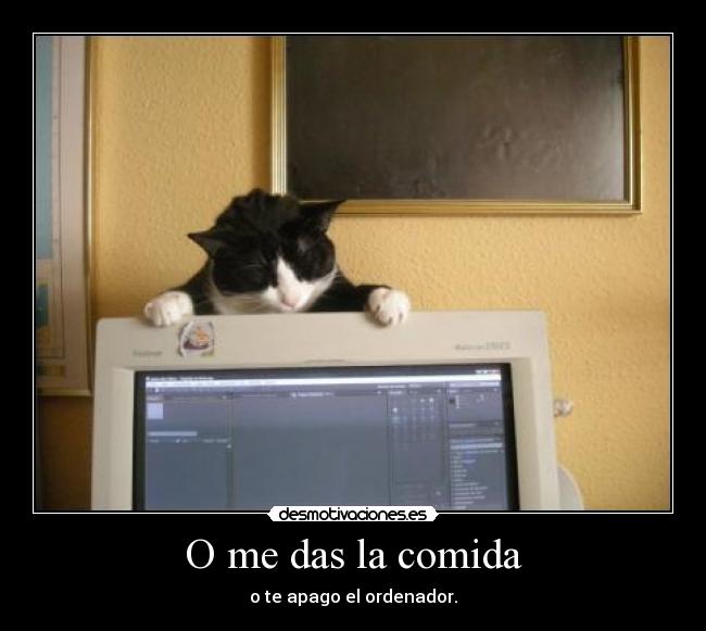 O me das la comida - o te apago el ordenador.