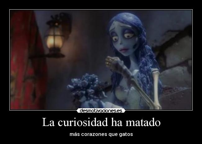 La curiosidad ha matado -