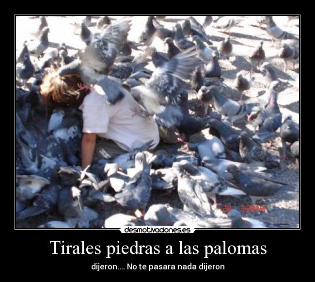 Tirales piedras a las palomas - dijeron.... No te pasara nada dijeron