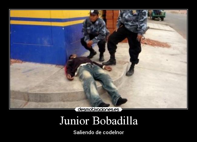 carteles bobadilla desmotivaciones