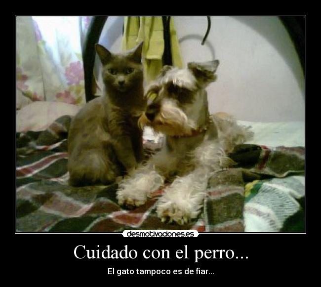 Cuidado con el perro... -