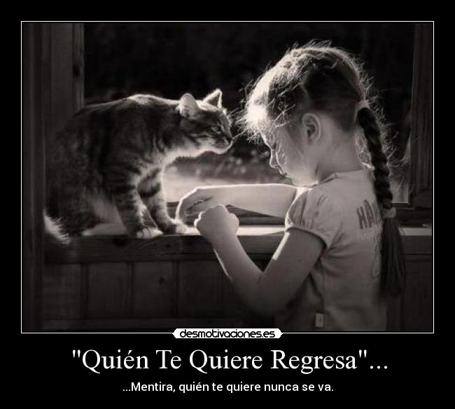 Quién Te Quiere Regresa... -