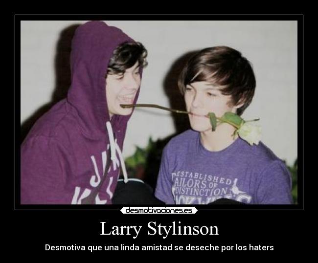 Larry Stylinson - Desmotiva que una linda amistad se deseche por los haters
