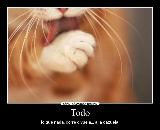 Todo - lo que nada, corre o vuela... a la cazuela.