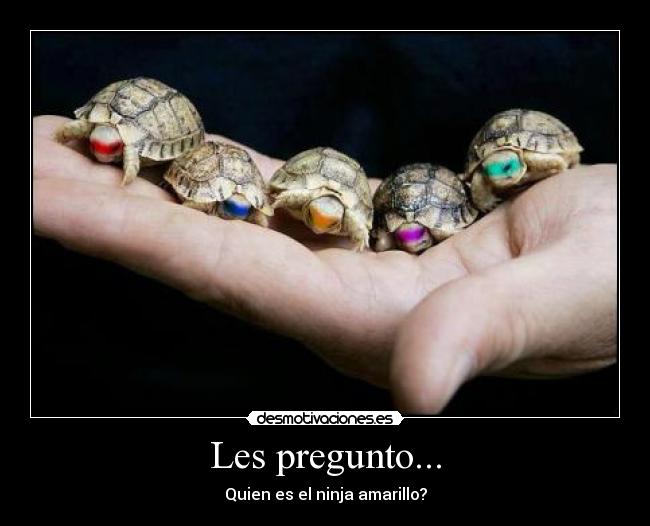 carteles teenage mutant ninja turtles tmnt desmotivaciones