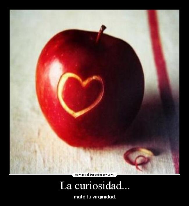 La curiosidad... - 