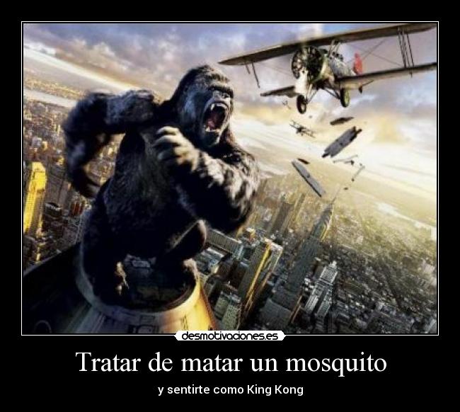 carteles tratar matar mosquito desmotivaciones