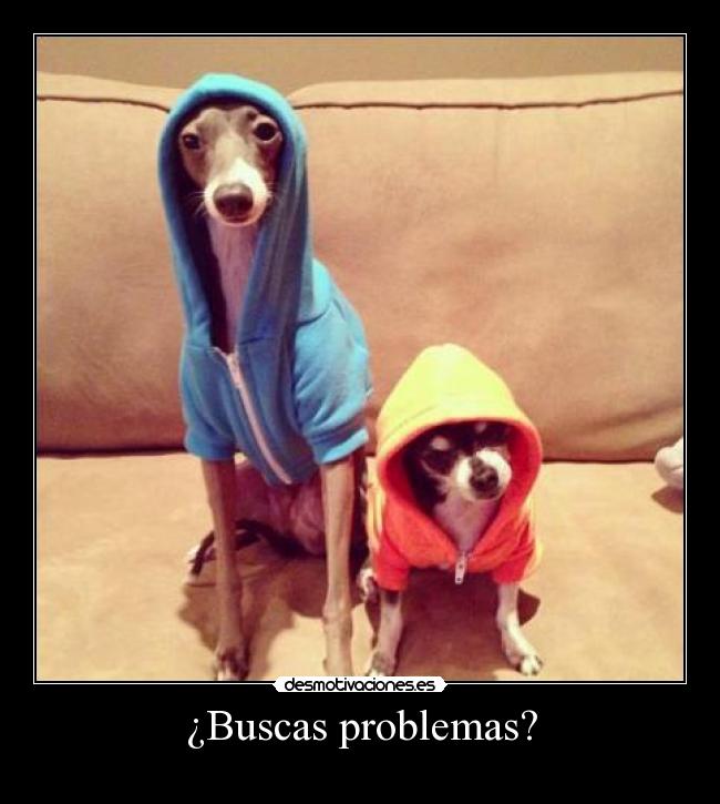 ¿Buscas problemas? - 