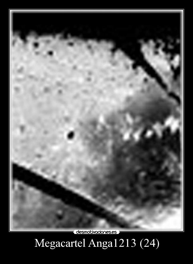 Megacartel Anga1213 (24) -