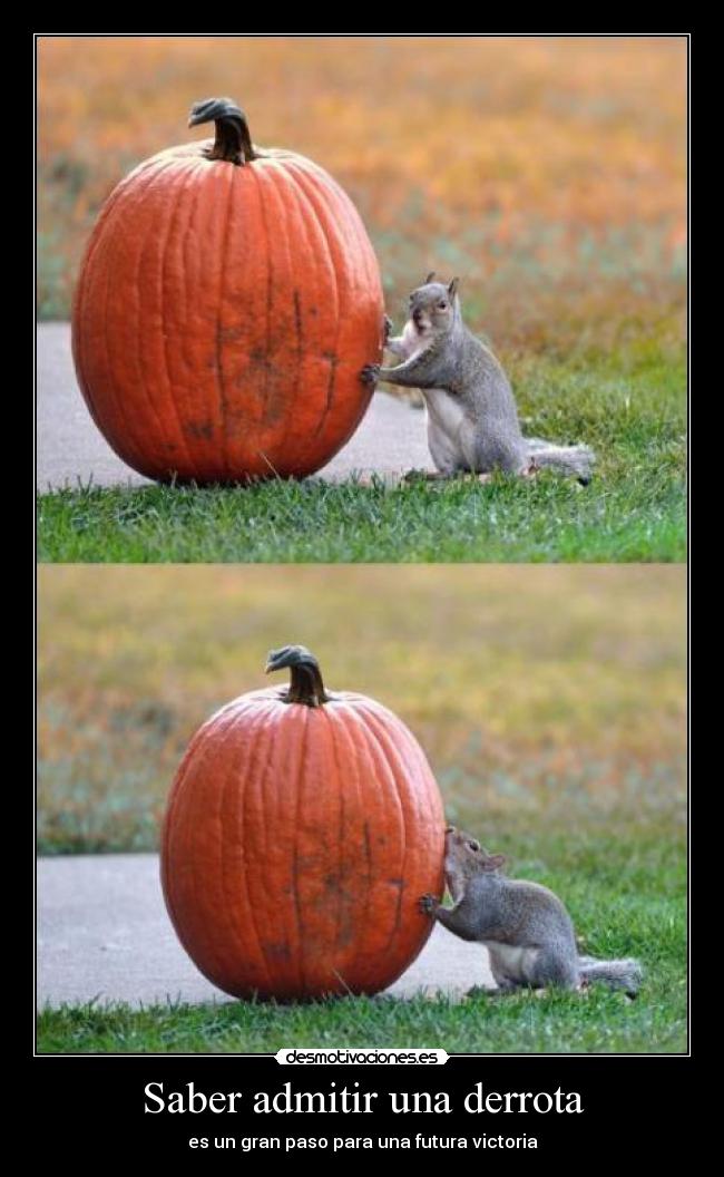 Saber admitir una derrota - es un gran paso para una futura victoria