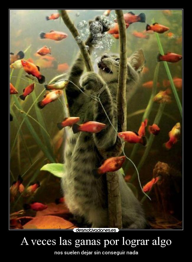 A veces las ganas por lograr algo - nos suelen dejar sin conseguir nada