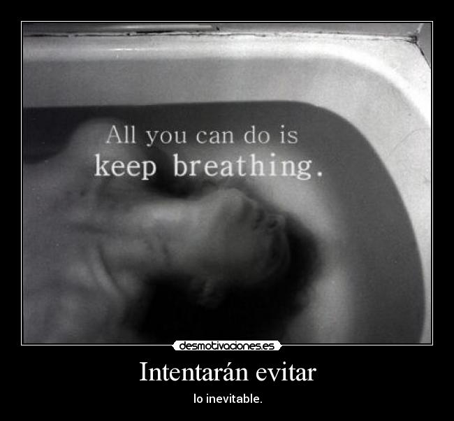 Intentarán evitar - lo inevitable.