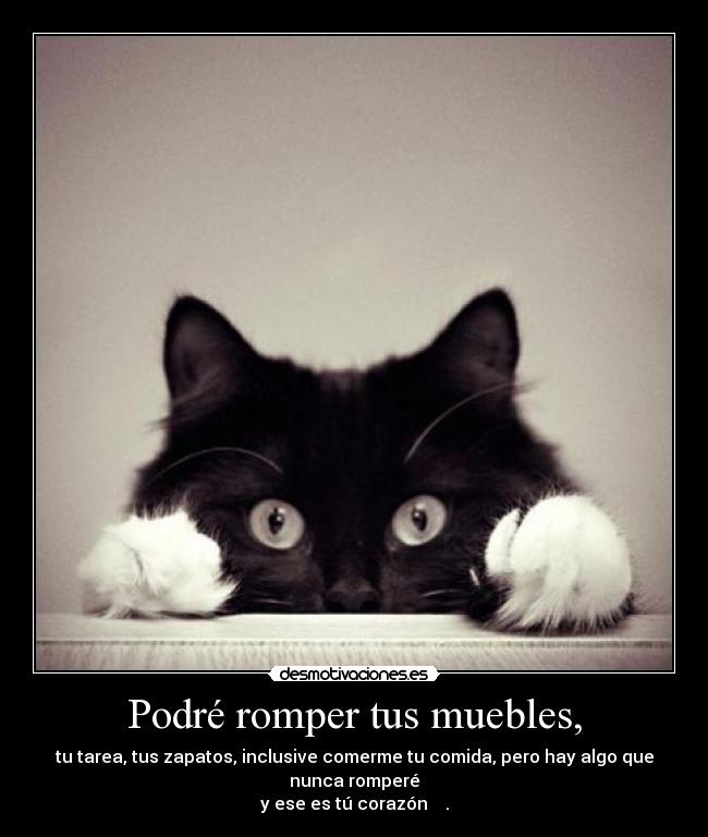 Podré romper tus muebles, -