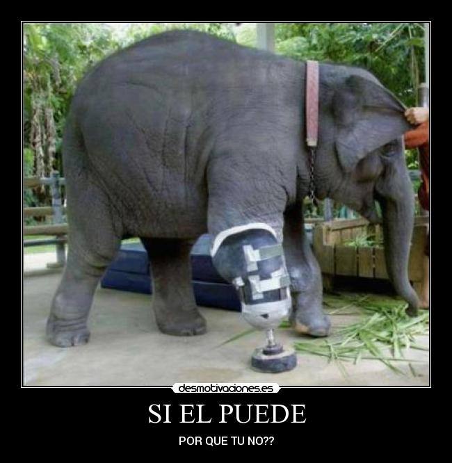 SI EL PUEDE - POR QUE TU NO??