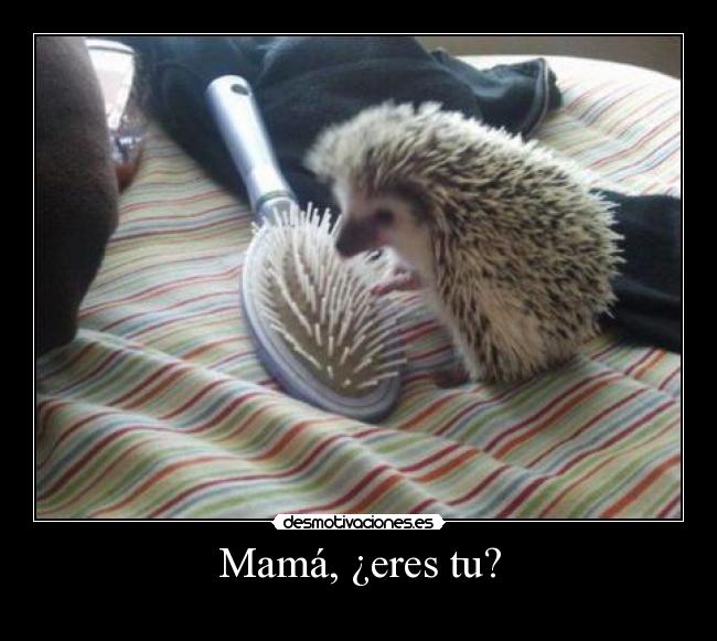 Mamá, ¿eres tu? - 