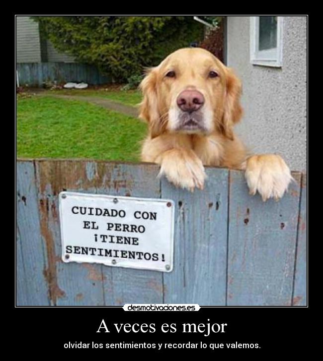 A veces es mejor - olvidar los sentimientos y recordar lo que valemos.