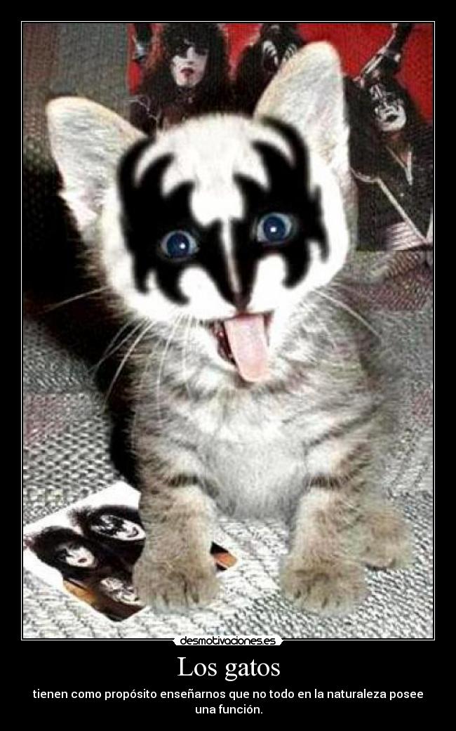 Los gatos -