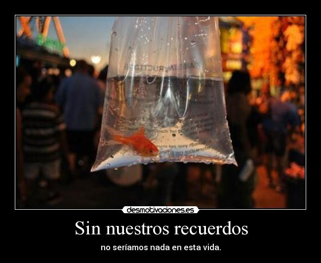 Sin nuestros recuerdos - no seríamos nada en esta vida.