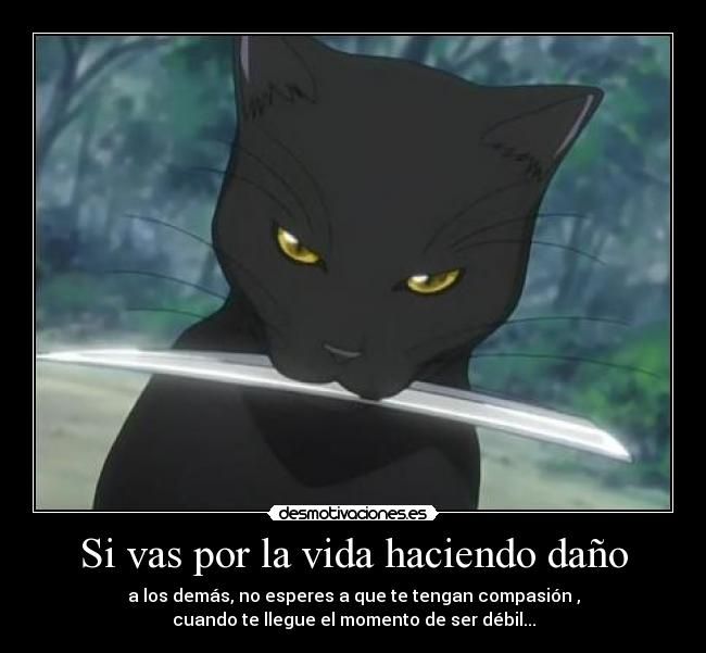 Si vas por la vida haciendo daño - 