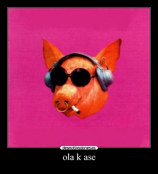 ola k ase -